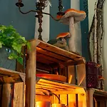 La Haute Forge - Meubles