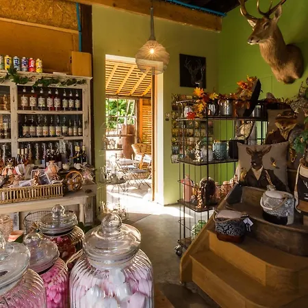 La Haute Forge - Meubles Гостевой дом Thoire-sur-Dinan