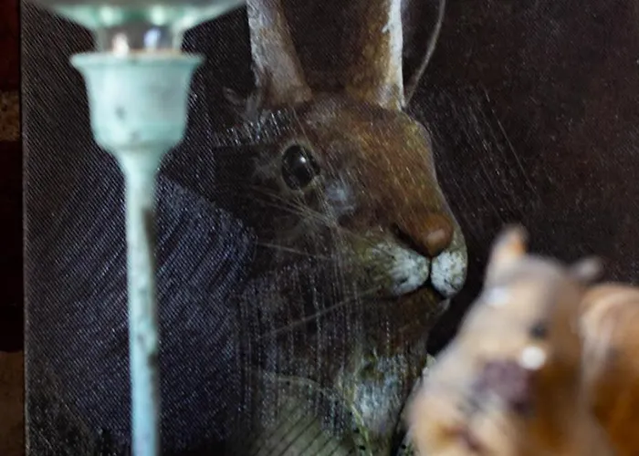 La Haute Forge Maison d'Hôtes