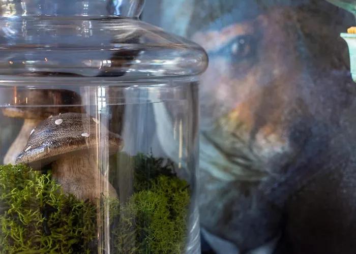 Casa de hóspedes La Haute Forge Maison d'Hôtes *