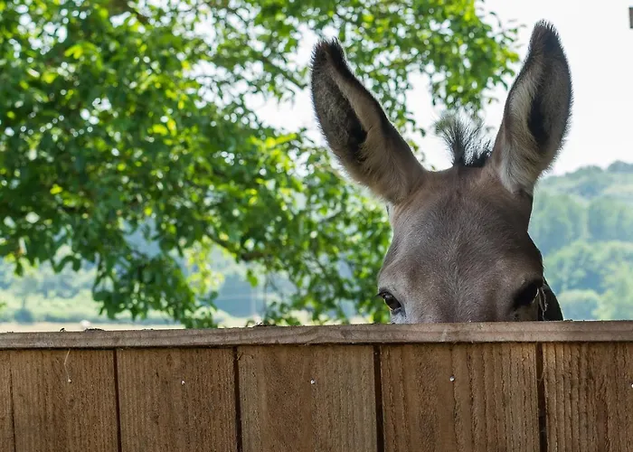La Haute Forge Maison d'Hôtes Thoire-sur-Dinan