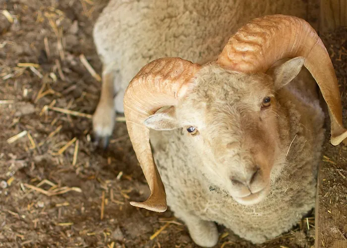 La Haute Forge Maison d'Hôtes * Thoire-sur-Dinan