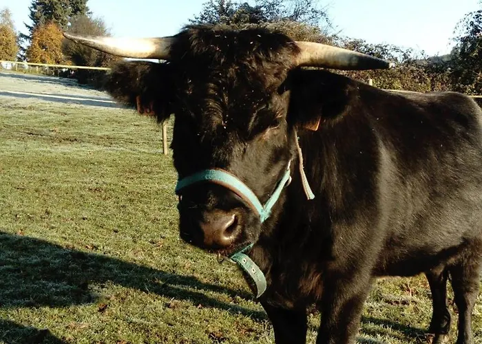La Haute Forge Maison d'Hôtes Casa de hóspedes Thoire-sur-Dinan