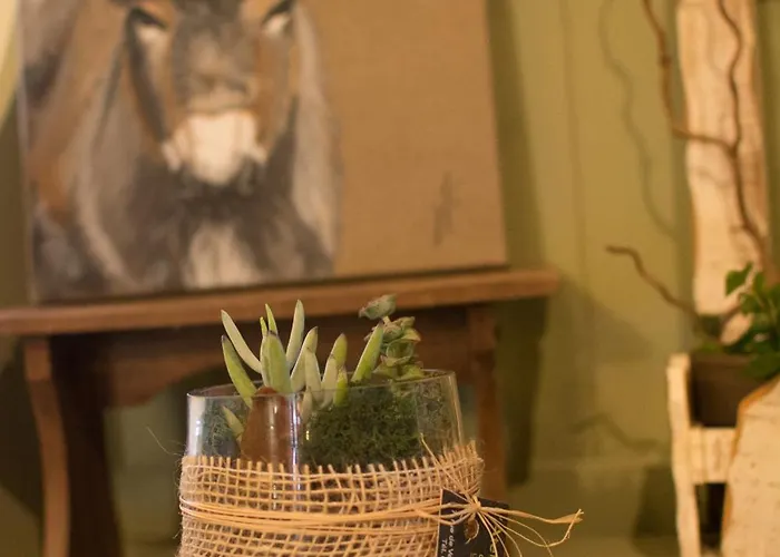 La Haute Forge Maison d'Hôtes * Thoire-sur-Dinan